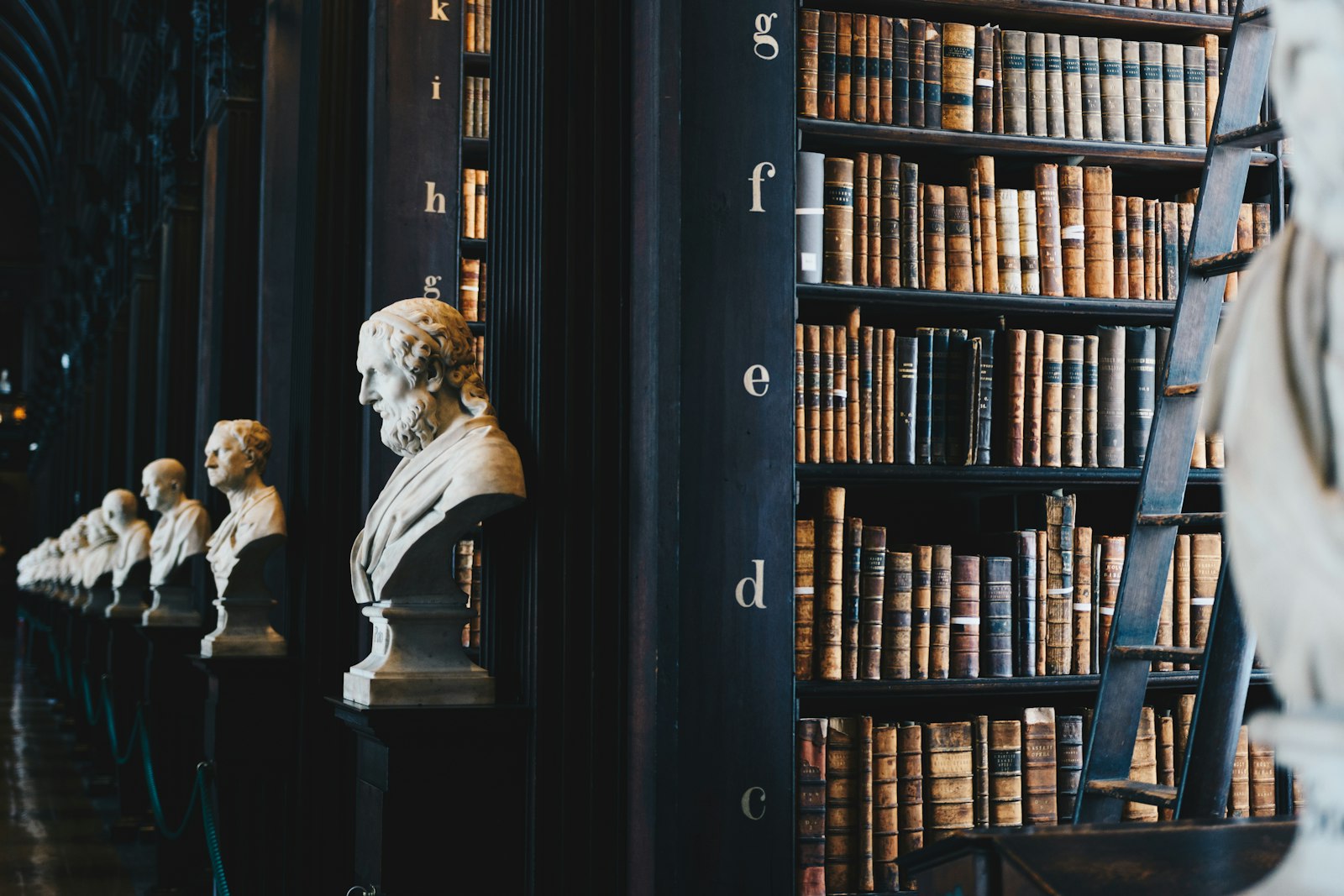 Law library with marble busts and shelves of bound volumes