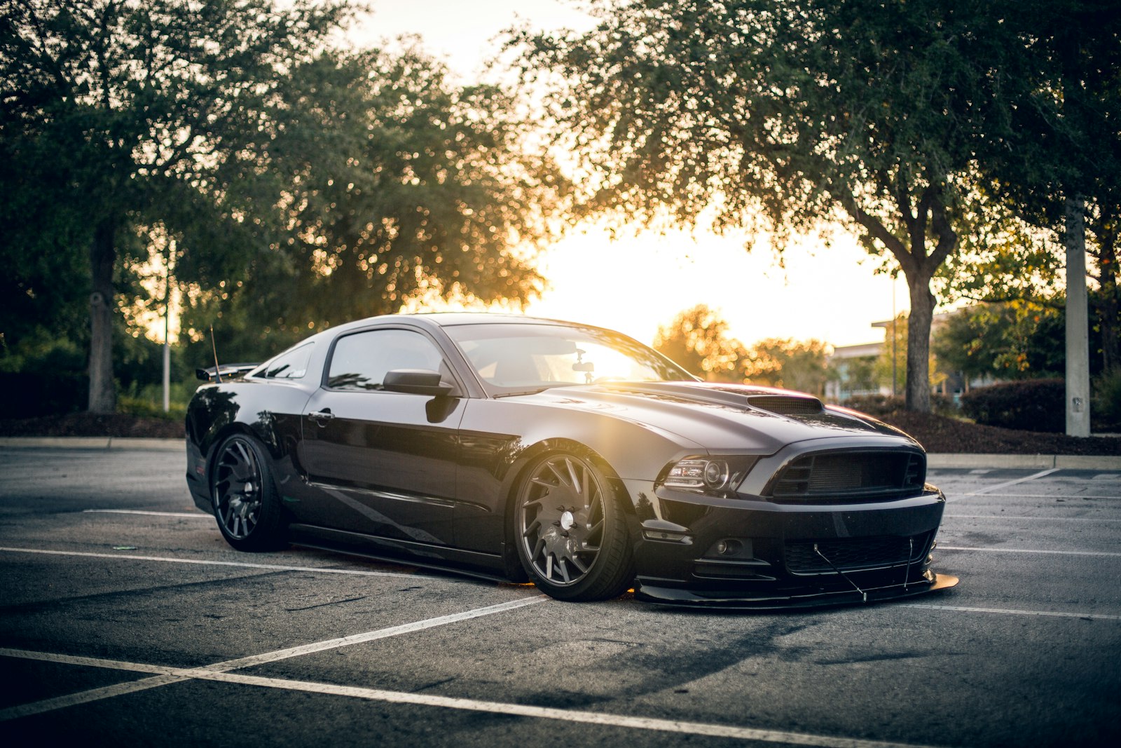 Black coupe parked under trees at sunset